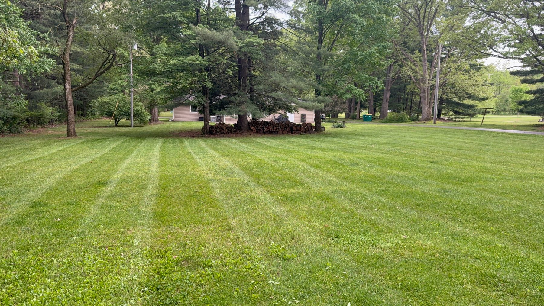 Freshly mowed lawn